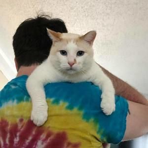 Meet your Posher, Dylan